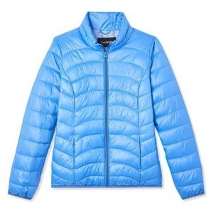 Blue Puffer